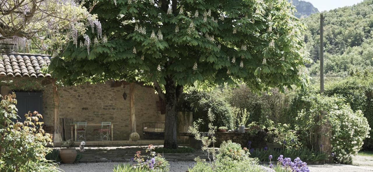 La Cour Du Marronnier Otel Pont-de-Barret Dış mekan fotoğraf